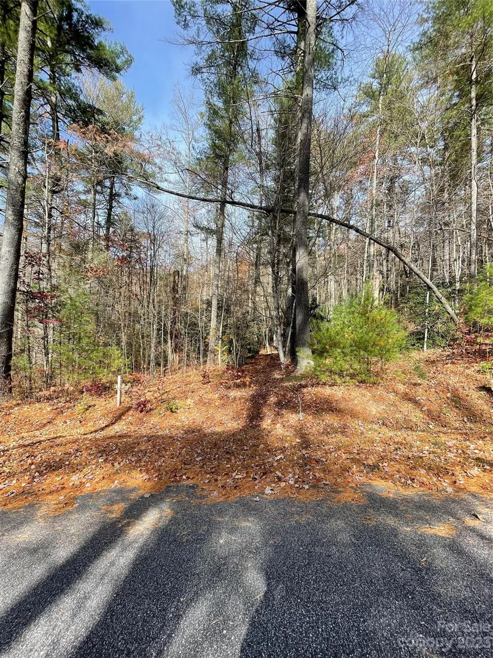 0000 Juniper Berry Lane Zirconia, NC 28792