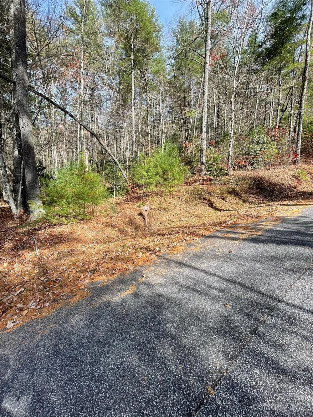 0000 Juniper Berry Lane Zirconia, NC 28792