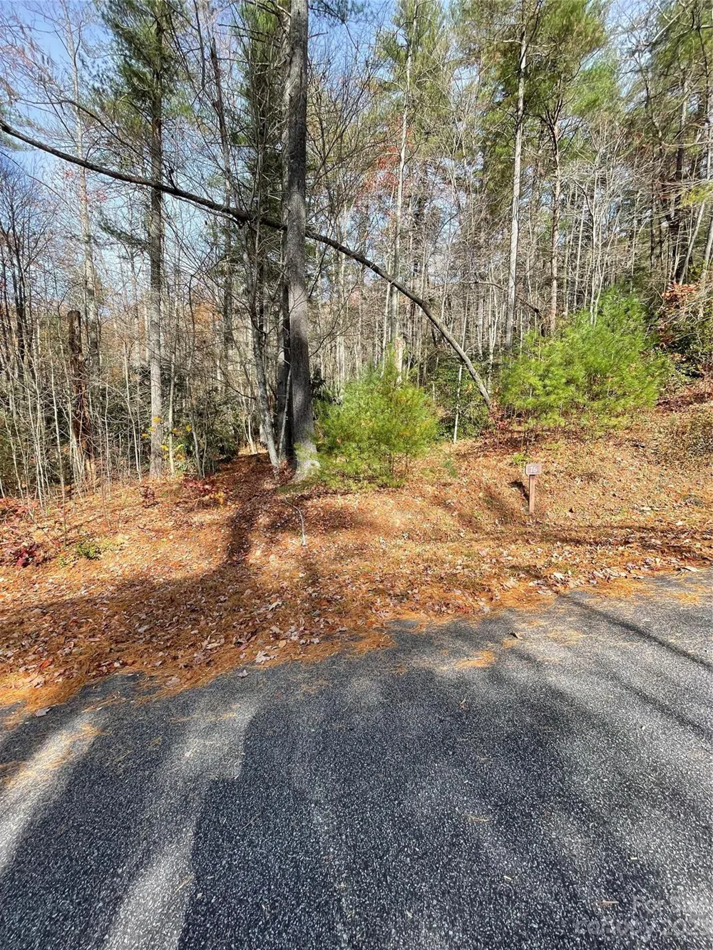 0000 Juniper Berry Lane Zirconia, NC 28792