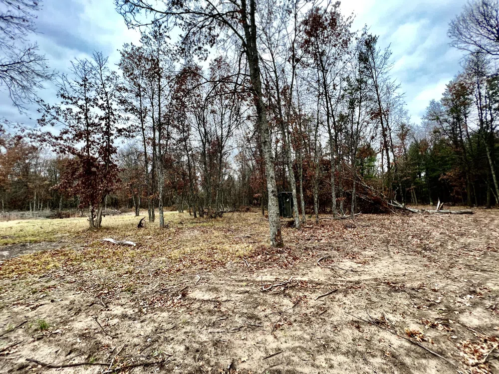 2442 E 38th Street Street Idlewild, MI 49642