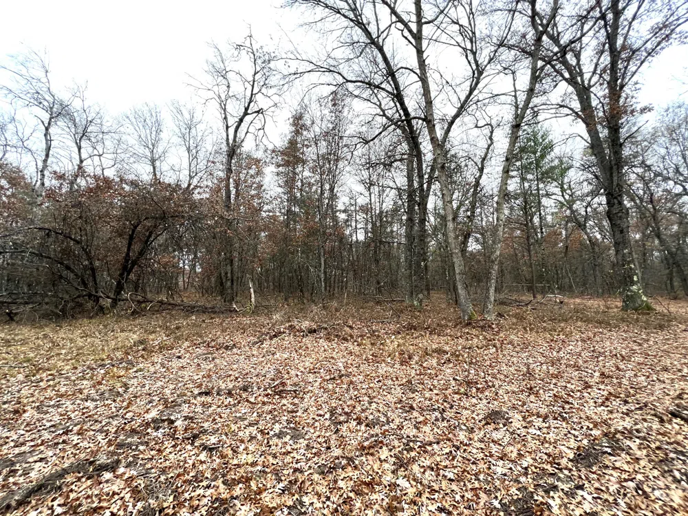 2442 E 38th Street Street Idlewild, MI 49642