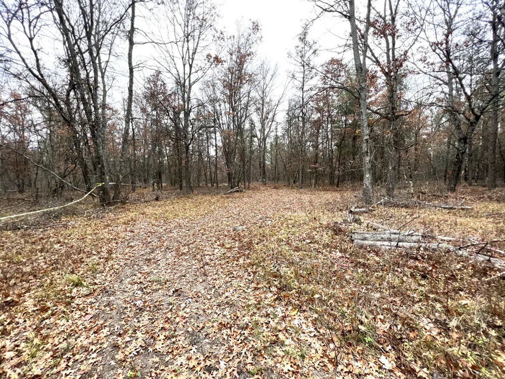 2442 E 38th Street Street Idlewild, MI 49642