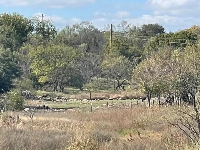 190 US HWY Brady, TX 76825