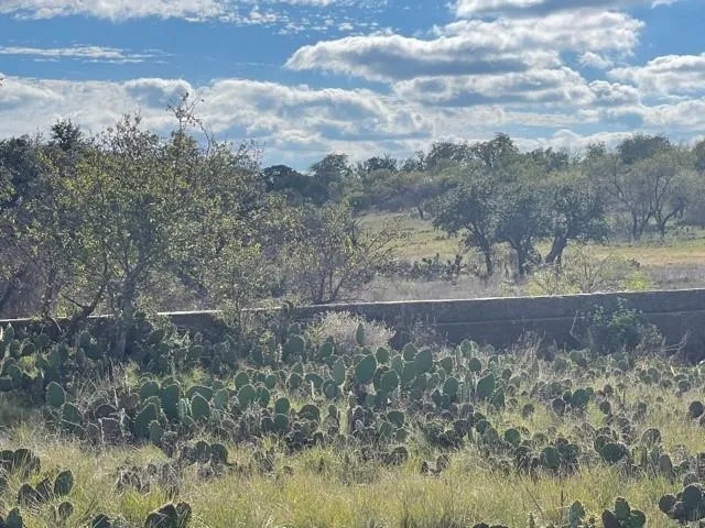 190 US HWY Brady, TX 76825