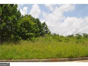 298 Randall DR Rockmart, GA 30153