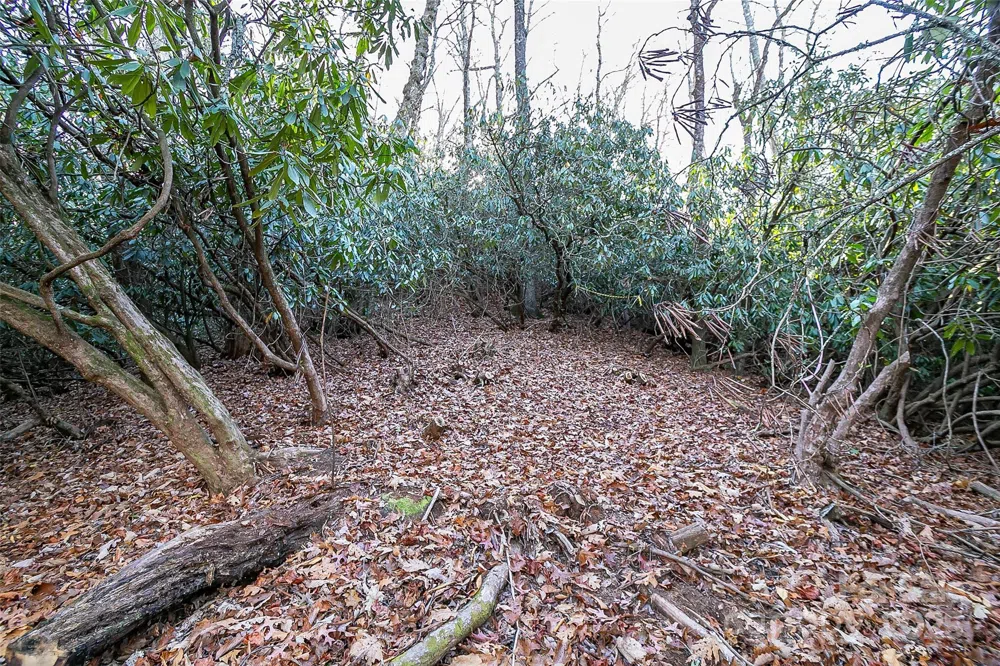 TBD Dundee Lane #6A Pisgah Forest, NC 28768