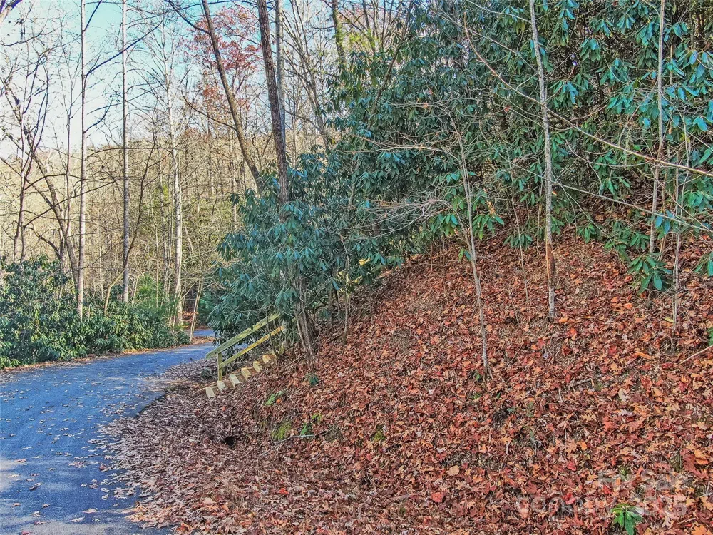 TBD Dundee Lane #6A Pisgah Forest, NC 28768