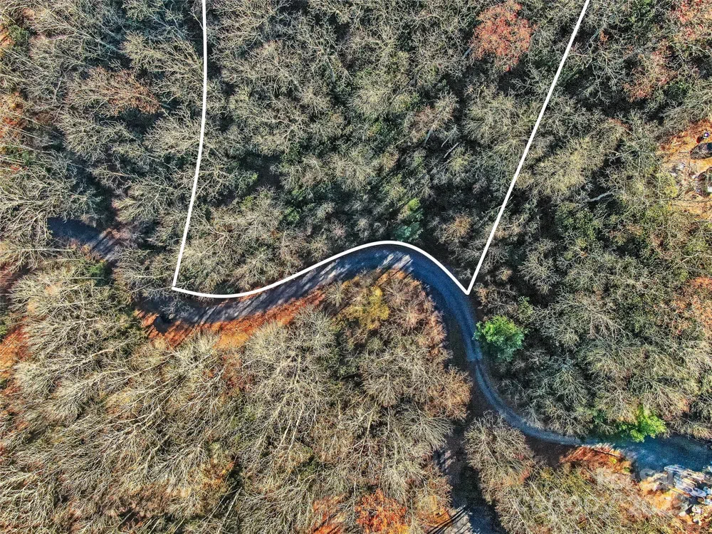 TBD Dundee Lane #6A Pisgah Forest, NC 28768