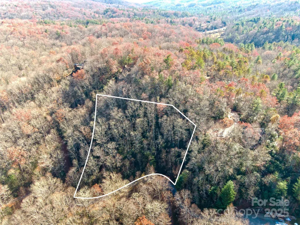 TBD Dundee Lane #6A Pisgah Forest, NC 28768
