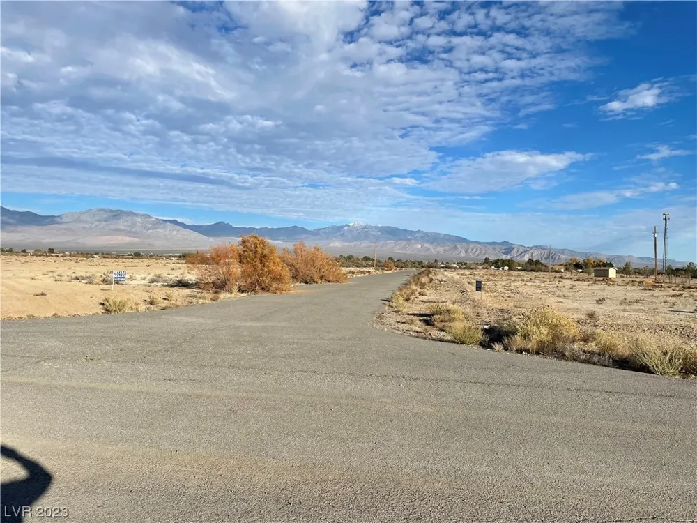 2460 W MARY BETH COURT Pahrump, NV 89060