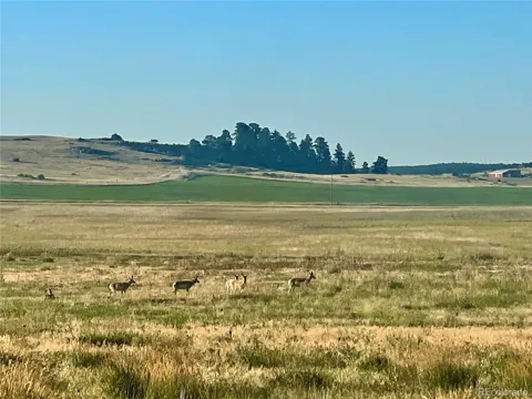 Craven Lot 1