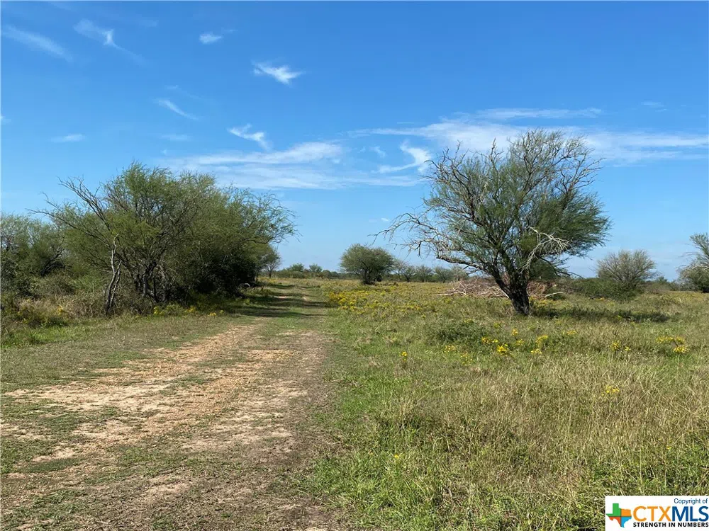 Parsons Victoria, TX 77904