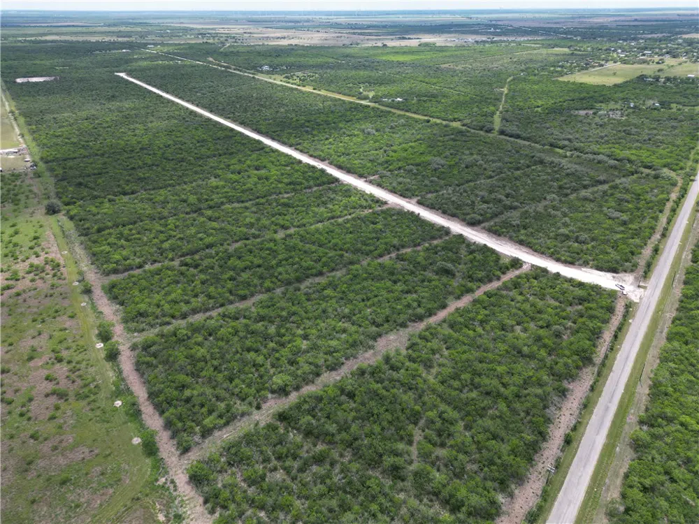 7460 Corrigan Ranch- tract 17 Road Skidmore, TX 78389