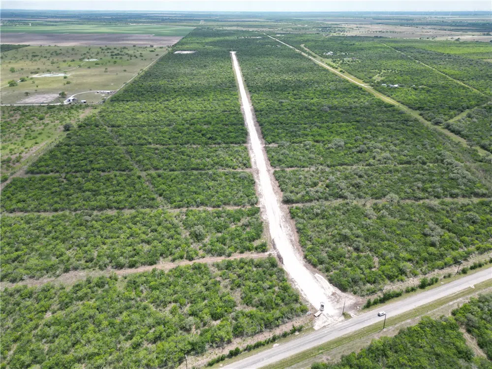 7460 Corrigan Ranch- tract 17 Road Skidmore, TX 78389
