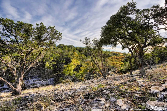 195 Wells Springs Dr Kerrville, TX 78028