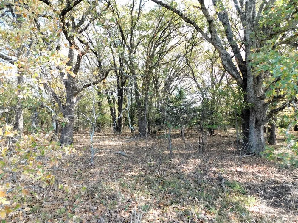 County Rd 3605 Quinlan, TX 75474
