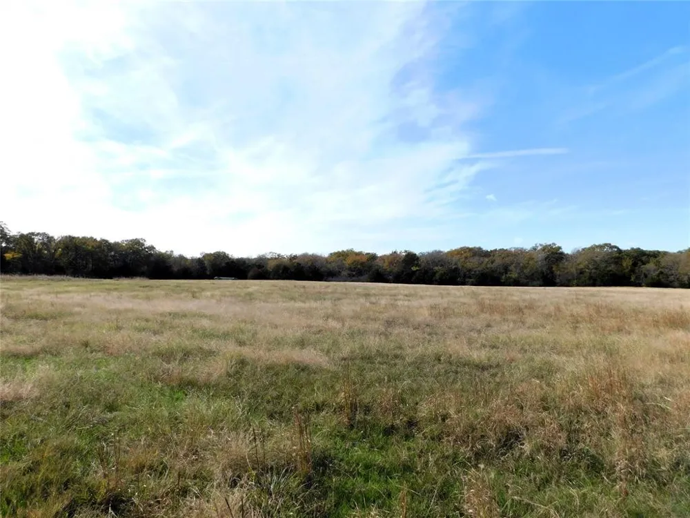 County Rd 3605 Quinlan, TX 75474