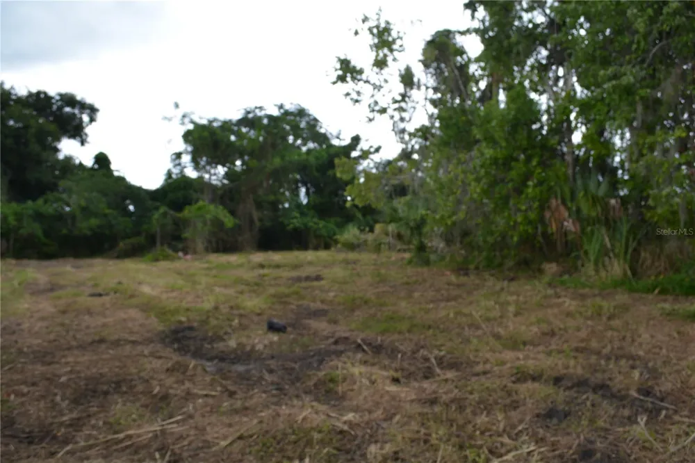 0 CHULUOTA ROAD Oviedo, FL 32765