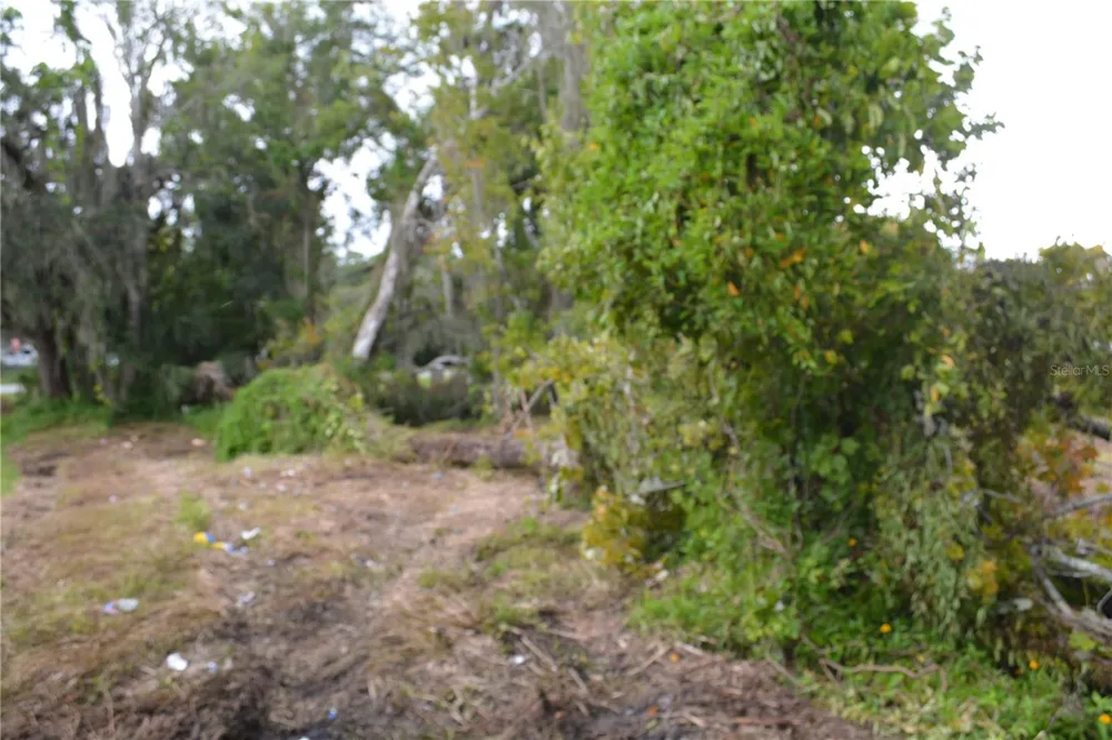 0 CHULUOTA ROAD Oviedo, FL 32765