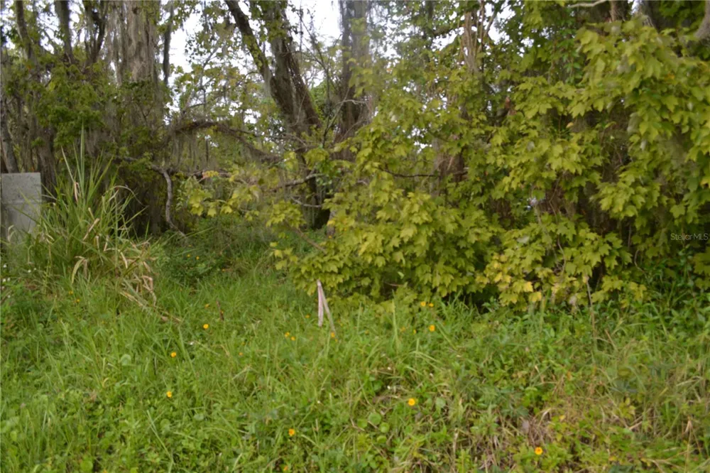 0 CHULUOTA ROAD Oviedo, FL 32765