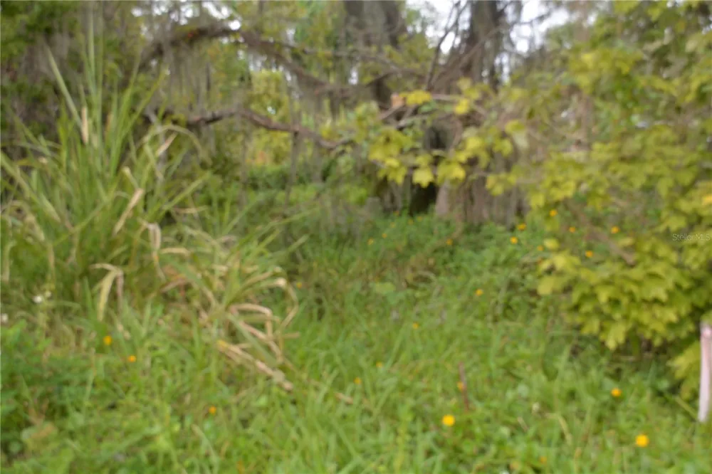 0 CHULUOTA ROAD Oviedo, FL 32765