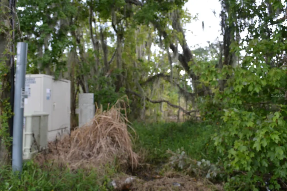 0 CHULUOTA ROAD Oviedo, FL 32765