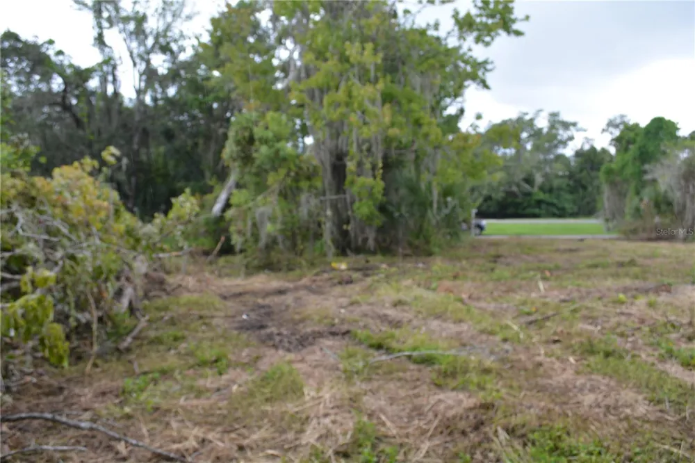 0 CHULUOTA ROAD Oviedo, FL 32765
