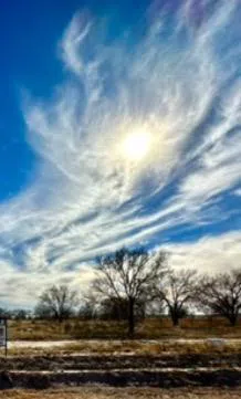 County Road 1043 Muleshoe, TX 79434