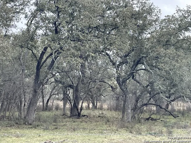 8149 COUNTY ROAD 311 Dhanis, TX 78850