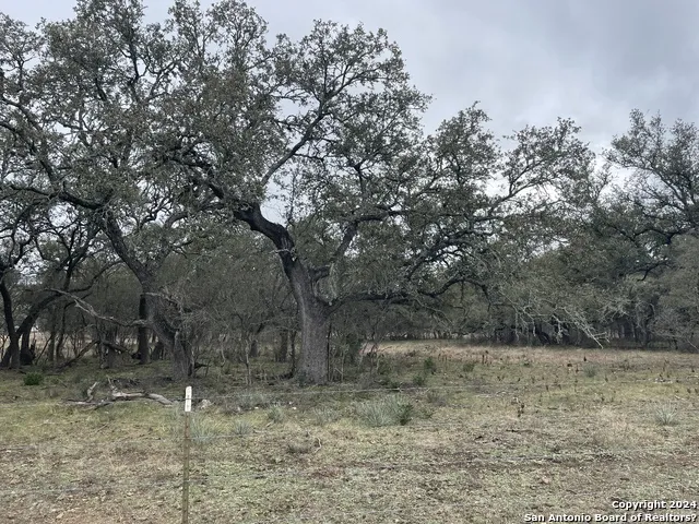 8149 COUNTY ROAD 311 Dhanis, TX 78850