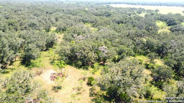 8149 COUNTY ROAD 311 Dhanis, TX 78850