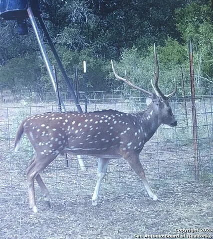 8149 COUNTY ROAD 311 Dhanis, TX 78850