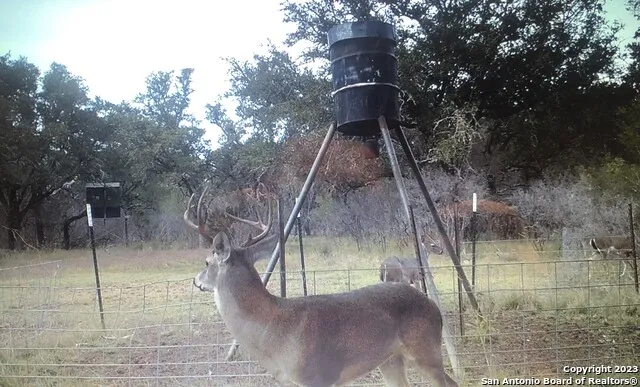 8149 COUNTY ROAD 311 Dhanis, TX 78850