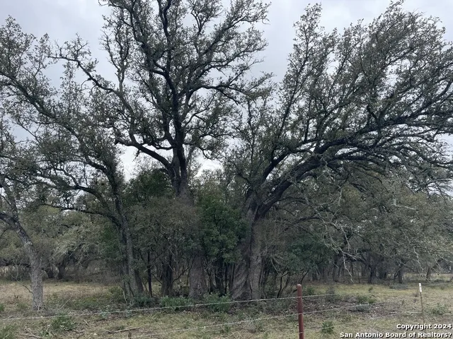 8149 COUNTY ROAD 311 Dhanis, TX 78850