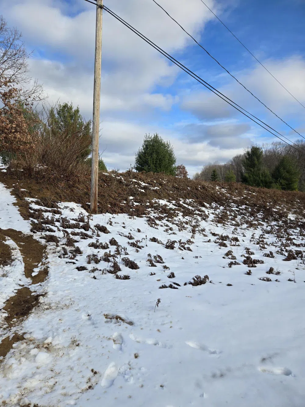 895 Lake Miramichi Drive Evart, MI 49631