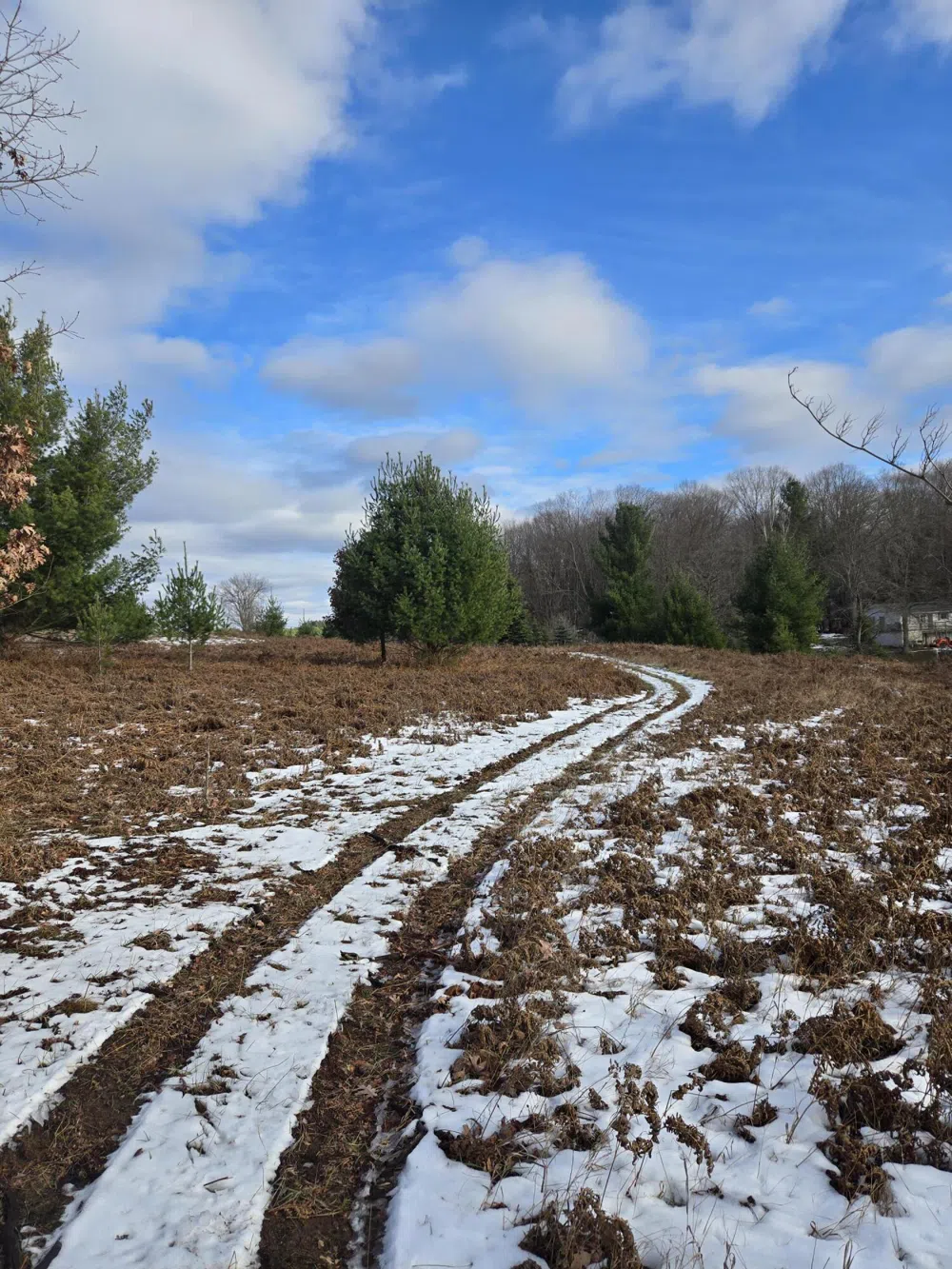 895 Lake Miramichi Drive Evart, MI 49631