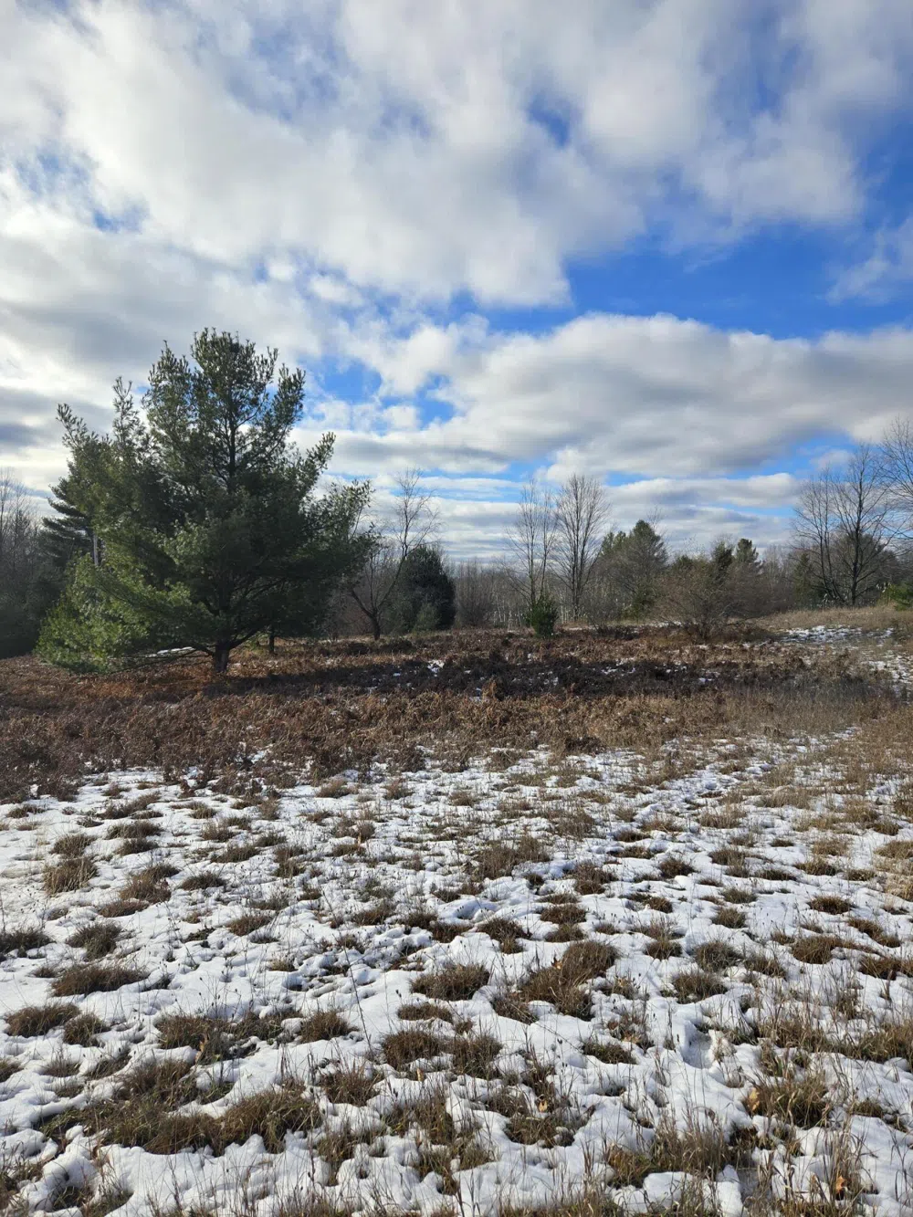 895 Lake Miramichi Drive Evart, MI 49631