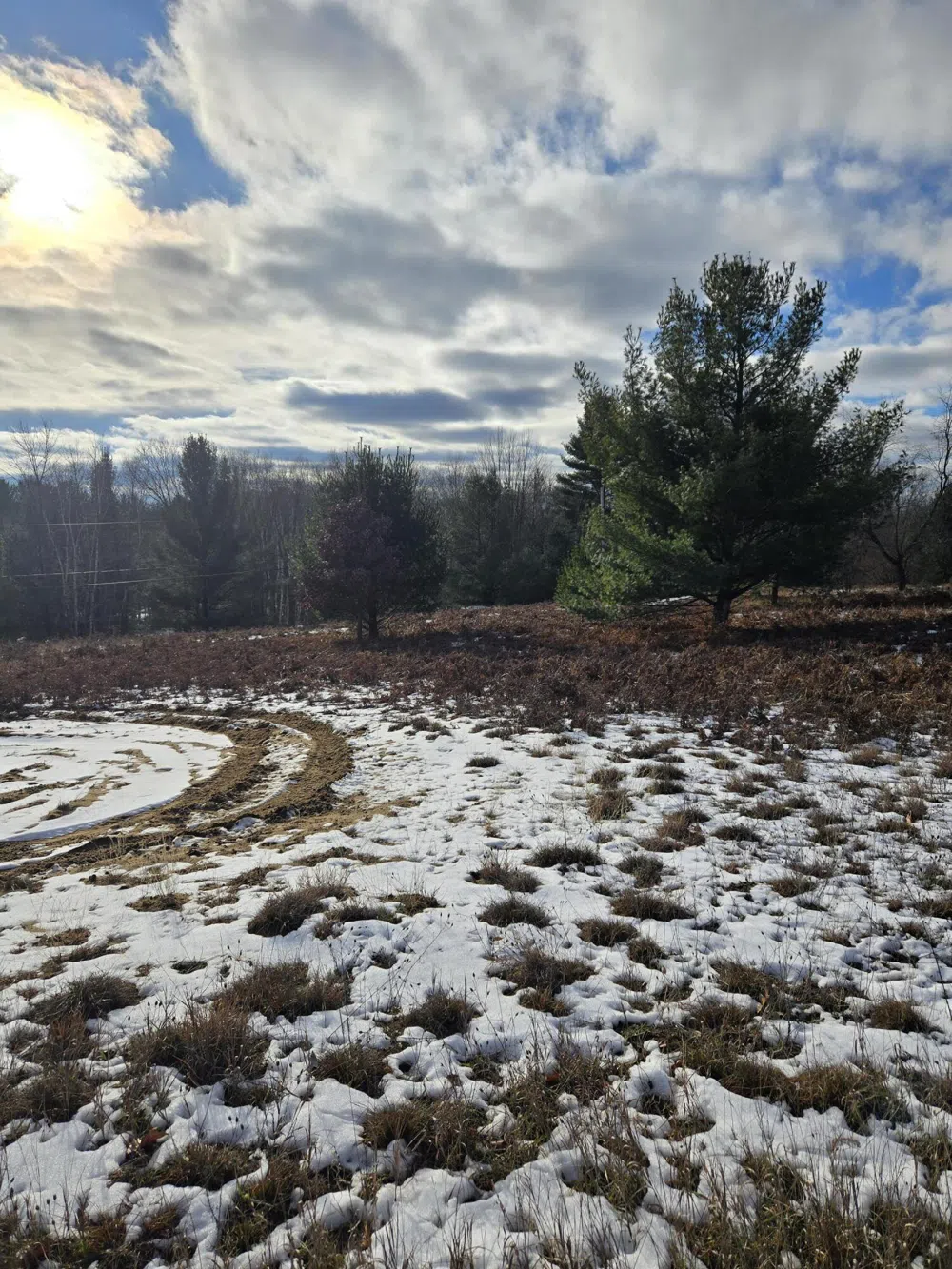 895 Lake Miramichi Drive Evart, MI 49631