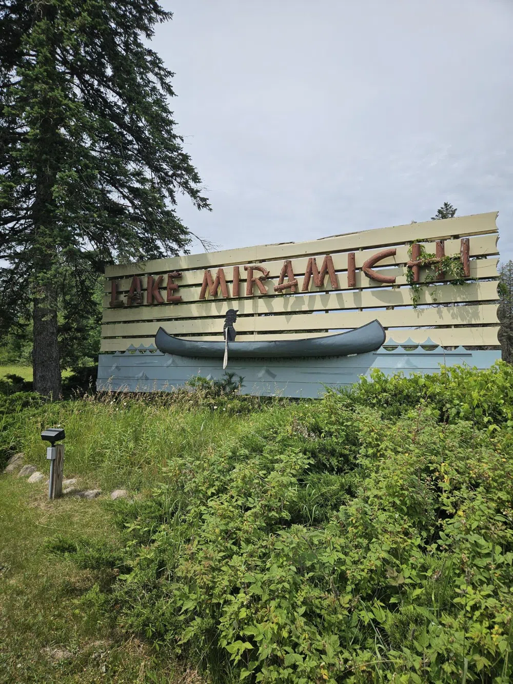 895 Lake Miramichi Drive Evart, MI 49631