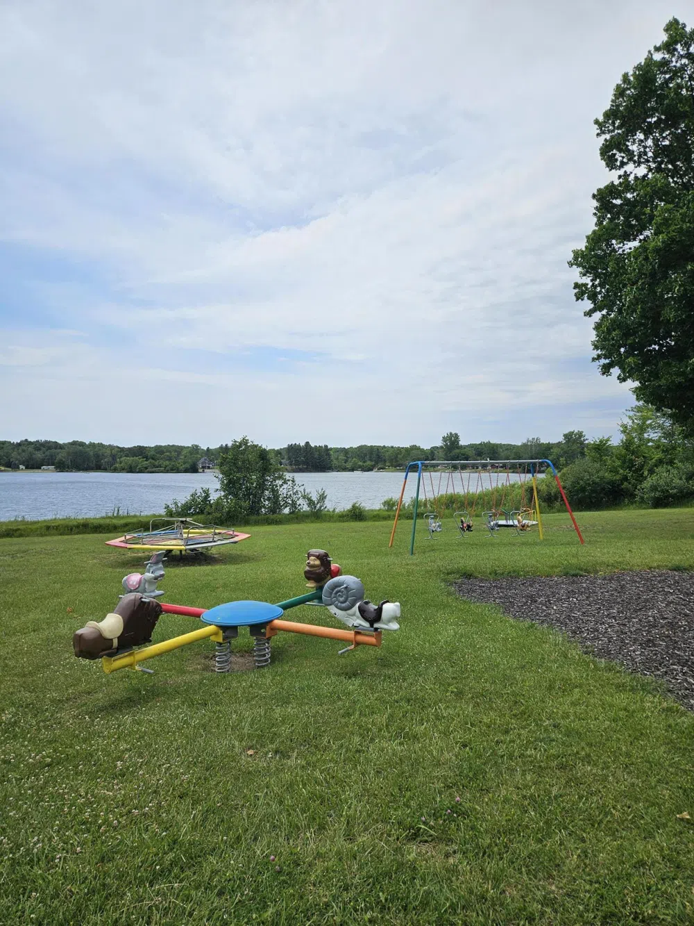 895 Lake Miramichi Drive Evart, MI 49631