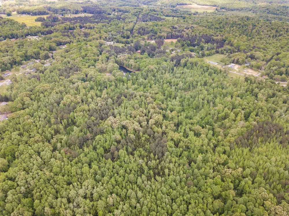 876 Flatwoods Rd Camden, TN 38320