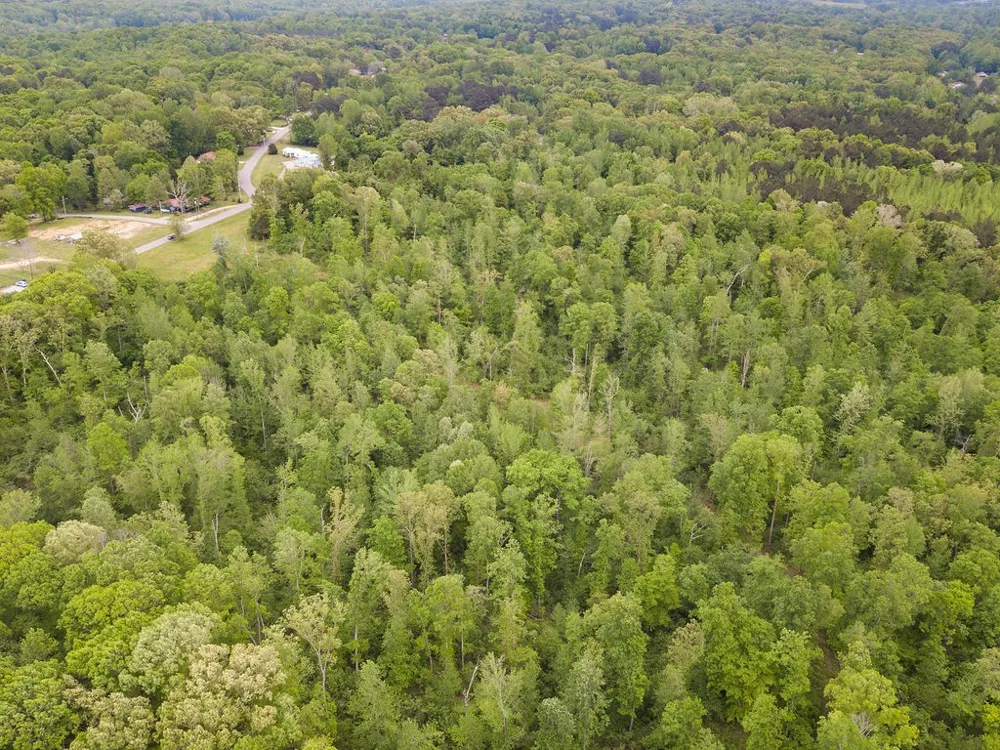 876 Flatwoods Rd Camden, TN 38320