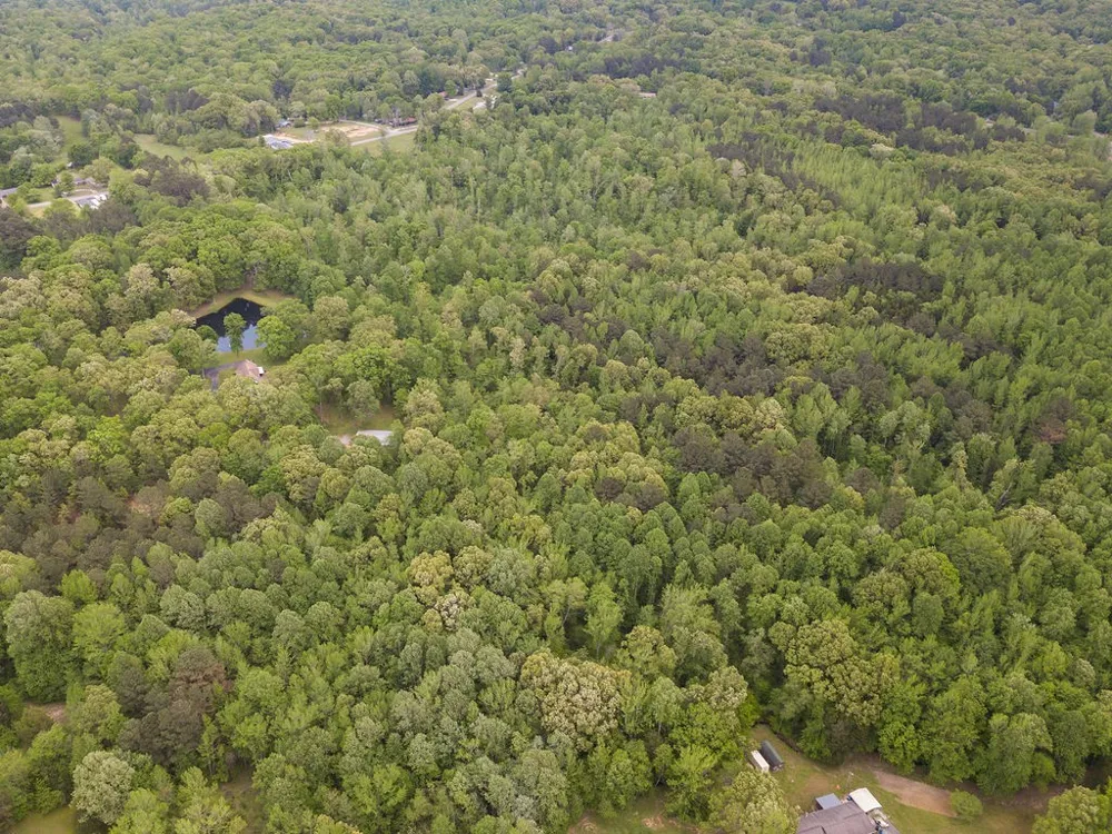 876 Flatwoods Rd Camden, TN 38320