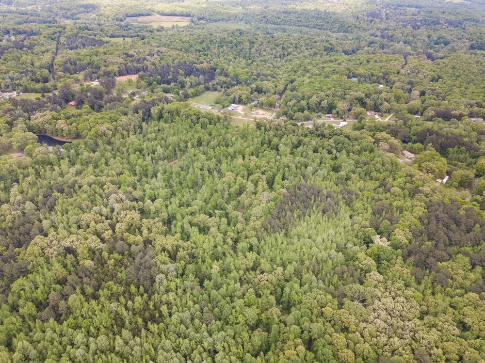 876 Flatwoods Rd Camden, TN 38320