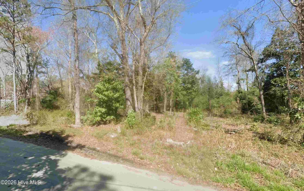 314 Dees Avenue Bayboro, NC 28515