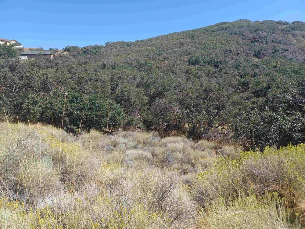 22920 Constance Way Tehachapi, CA 93561