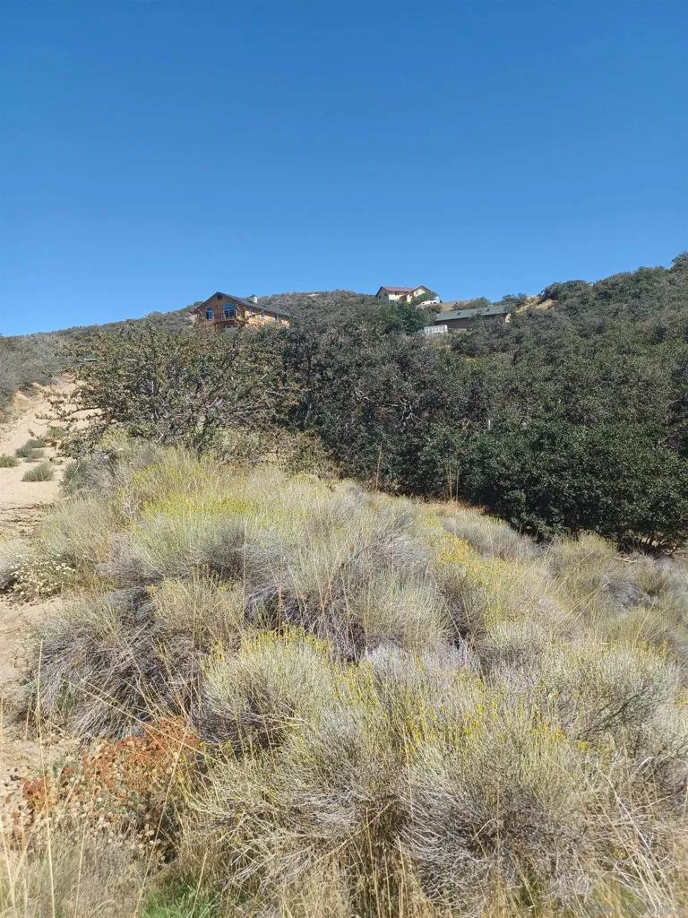 22920 Constance Way Tehachapi, CA 93561