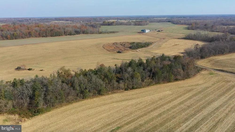 8184 FOX GROVES ROAD Remington, VA 22734