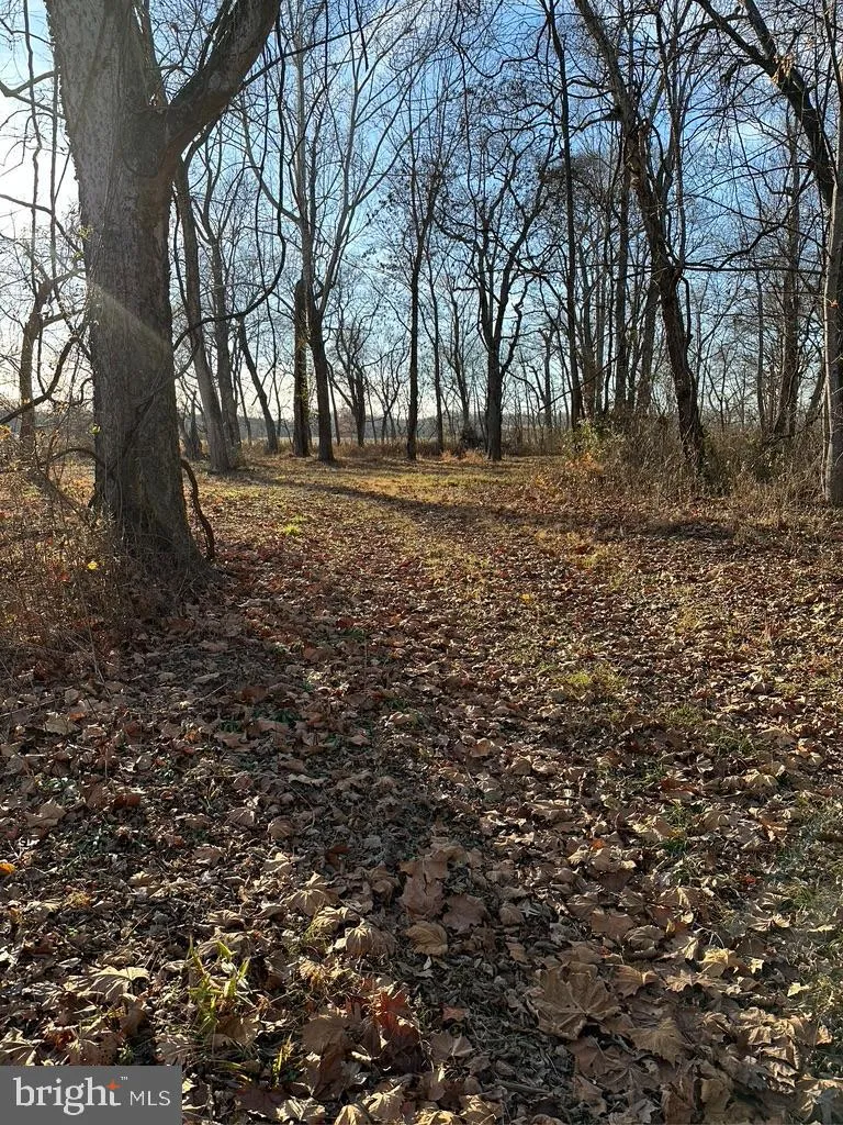 8184 FOX GROVES ROAD Remington, VA 22734