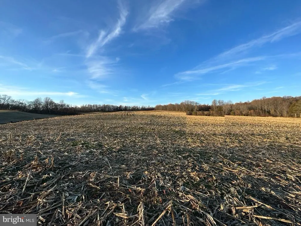 8184 FOX GROVES ROAD Remington, VA 22734